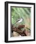 Tufted-Titmouse-Gary Carter-Framed Photographic Print