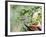 Tufted Titmouse-Gary Carter-Framed Photographic Print