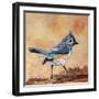 Tufted Titmouse-Elizabeth St. Hilaire-Framed Art Print