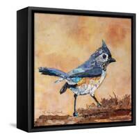 Tufted Titmouse-Elizabeth St. Hilaire-Framed Stretched Canvas