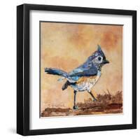 Tufted Titmouse-Elizabeth St. Hilaire-Framed Art Print