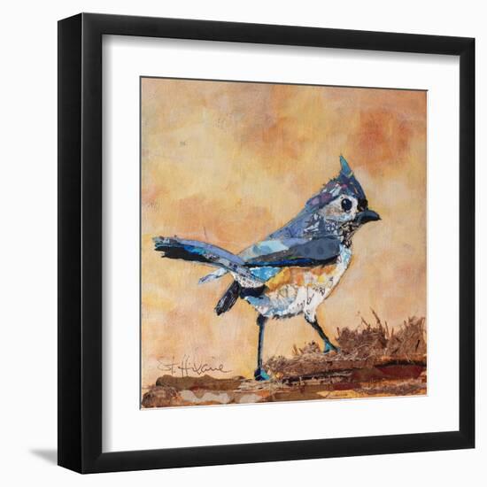 Tufted Titmouse-Elizabeth St. Hilaire-Framed Art Print