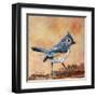 Tufted Titmouse-Elizabeth St. Hilaire-Framed Art Print