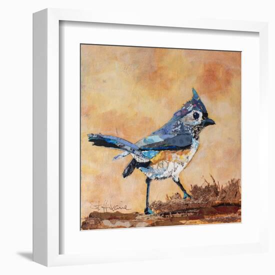 Tufted Titmouse-Elizabeth St. Hilaire-Framed Art Print