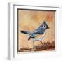 Tufted Titmouse-Elizabeth St. Hilaire-Framed Art Print