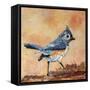 Tufted Titmouse-Elizabeth St. Hilaire-Framed Stretched Canvas