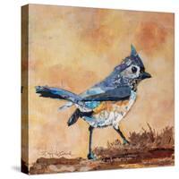 Tufted Titmouse-Elizabeth St. Hilaire-Stretched Canvas