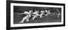 Tug-Of-War at the Mill Hill Junior School Sports Day, London, 1926-1927-null-Framed Giclee Print