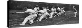 Tug-Of-War at the Mill Hill Junior School Sports Day, London, 1926-1927-null-Stretched Canvas