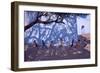 Tug of War, Gujarat, India, 2001-Andrew Macara-Framed Premium Giclee Print