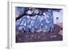 Tug of War, Gujarat, India, 2001-Andrew Macara-Framed Giclee Print