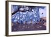 Tug of War, Gujarat, India, 2001-Andrew Macara-Framed Giclee Print