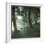 Tuglesang (Denmark), Marshes-Leon, Levy et Fils-Framed Photographic Print