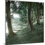 Tuglesang (Denmark), Marshes-Leon, Levy et Fils-Mounted Photographic Print