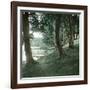 Tuglesang (Denmark), Marshes-Leon, Levy et Fils-Framed Premium Photographic Print