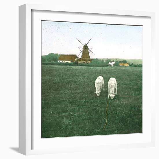 Tuglevad (Denmark), the Mill-Leon, Levy et Fils-Framed Photographic Print