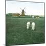 Tuglevad (Denmark), the Mill-Leon, Levy et Fils-Mounted Photographic Print