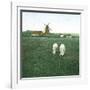 Tuglevad (Denmark), the Mill-Leon, Levy et Fils-Framed Photographic Print