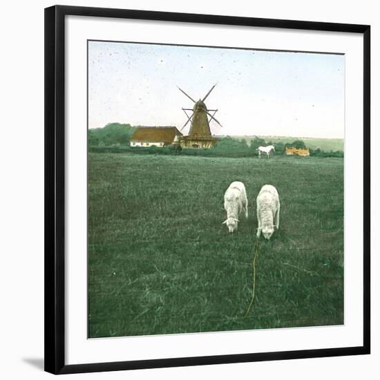Tuglevad (Denmark), the Mill-Leon, Levy et Fils-Framed Photographic Print