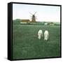 Tuglevad (Denmark), the Mill-Leon, Levy et Fils-Framed Stretched Canvas