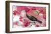 Tui 39-Kurien Yohannan-Framed Giclee Print