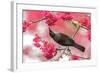 Tui 39-Kurien Yohannan-Framed Photographic Print