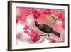 Tui 39-Kurien Yohannan-Framed Photographic Print