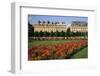 Tuileries Garden, buildings along Rue de Rivoli, Paris, France-David Barnes-Framed Photographic Print