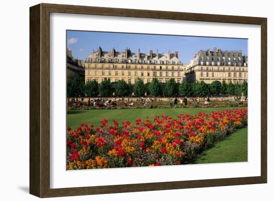 Tuileries Garden, buildings along Rue de Rivoli, Paris, France-David Barnes-Framed Photographic Print