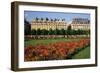 Tuileries Garden, buildings along Rue de Rivoli, Paris, France-David Barnes-Framed Photographic Print