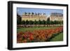 Tuileries Garden, buildings along Rue de Rivoli, Paris, France-David Barnes-Framed Photographic Print