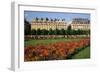 Tuileries Garden, buildings along Rue de Rivoli, Paris, France-David Barnes-Framed Photographic Print