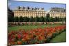 Tuileries Garden, buildings along Rue de Rivoli, Paris, France-David Barnes-Mounted Photographic Print