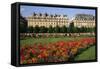Tuileries Garden, buildings along Rue de Rivoli, Paris, France-David Barnes-Framed Stretched Canvas