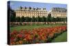 Tuileries Garden, buildings along Rue de Rivoli, Paris, France-David Barnes-Stretched Canvas