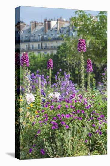 Tuileries Garden, Paris, France-Lisa S. Engelbrecht-Stretched Canvas