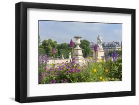 Tuileries Garden, Paris, France-Lisa Engelbrecht-Framed Photographic Print