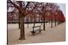 Tuileries Gardens in Winter, Paris, Ile de France, France-null-Stretched Canvas