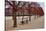 Tuileries Gardens in Winter, Paris, Ile de France, France-null-Stretched Canvas