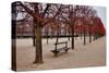 Tuileries Gardens in Winter, Paris, Ile de France, France-null-Stretched Canvas