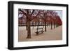 Tuileries Gardens in Winter, Paris, Ile de France, France-null-Framed Art Print