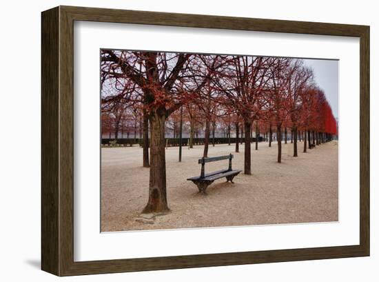 Tuileries Gardens in Winter, Paris, Ile de France, France-null-Framed Art Print