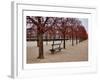 Tuileries Gardens in Winter, Paris, Ile de France, France-null-Framed Art Print