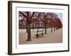 Tuileries Gardens in Winter, Paris, Ile de France, France-null-Framed Art Print