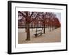Tuileries Gardens in Winter, Paris, Ile de France, France-null-Framed Art Print