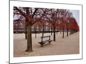 Tuileries Gardens in Winter, Paris, Ile de France, France-null-Mounted Art Print