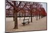 Tuileries Gardens in Winter, Paris, Ile de France, France-null-Mounted Art Print