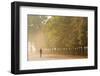 Tuileries Gardens, Paris, France-Peter Adams-Framed Photographic Print