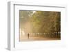 Tuileries Gardens, Paris, France-Peter Adams-Framed Photographic Print