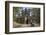 Tuk Tuk Going Through Victory Gate, Angkor Thom, Angkor World Heritage Site, Siem Reap, Cambodia-David Wall-Framed Photographic Print